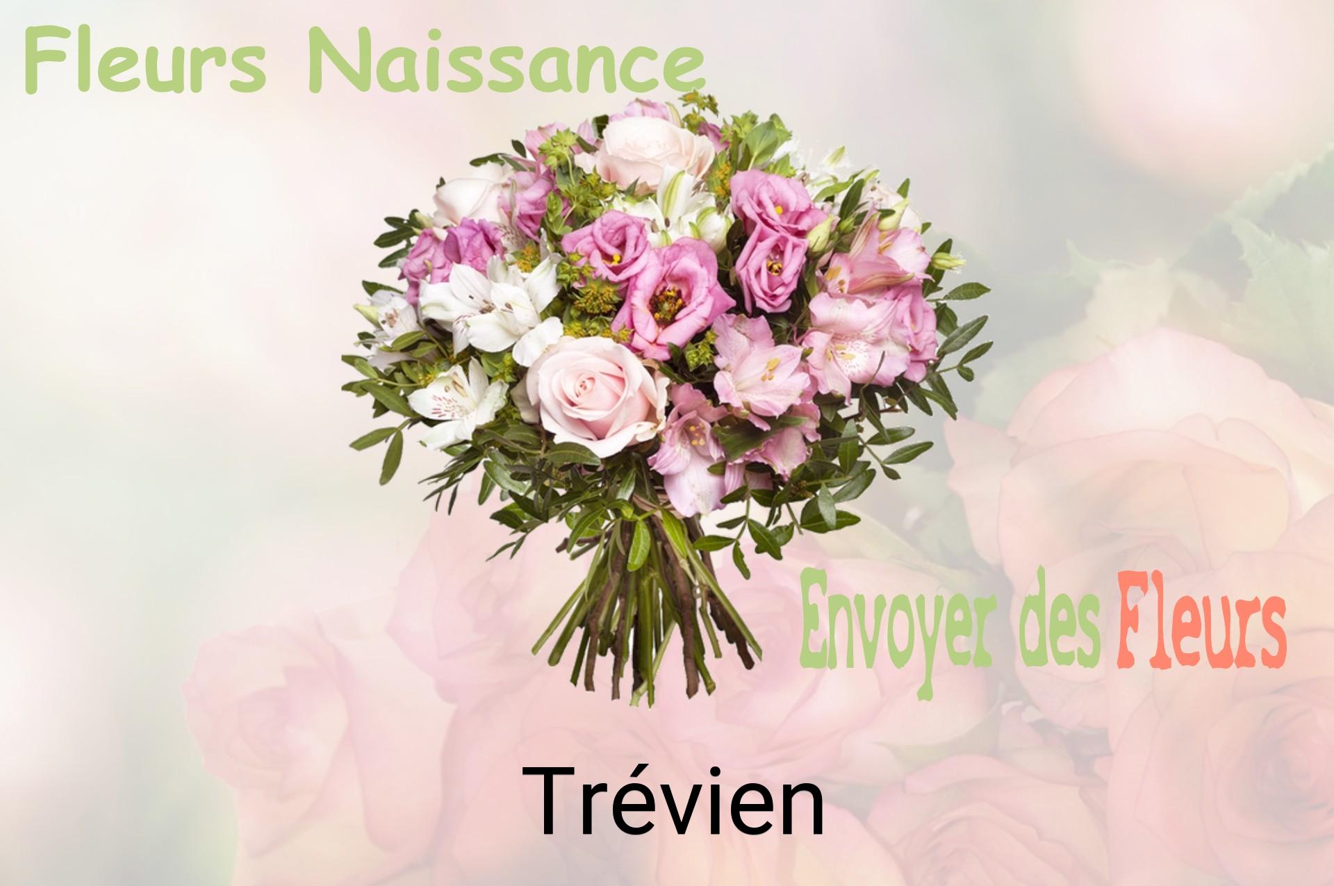 Bouquet de fleurs de naissance livré à Trévien